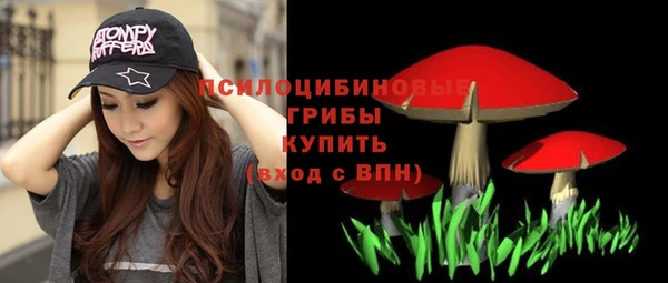 jwh Абаза
