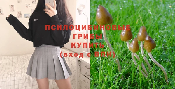apvp Абдулино