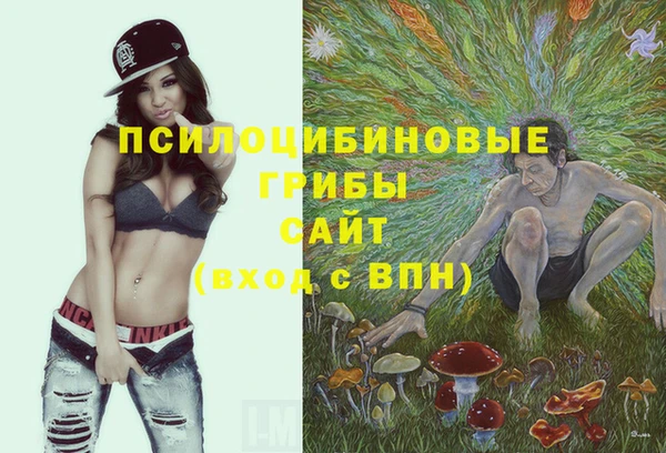 jwh Абаза